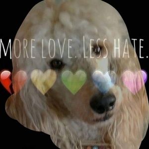 Meet your Posher, Kim